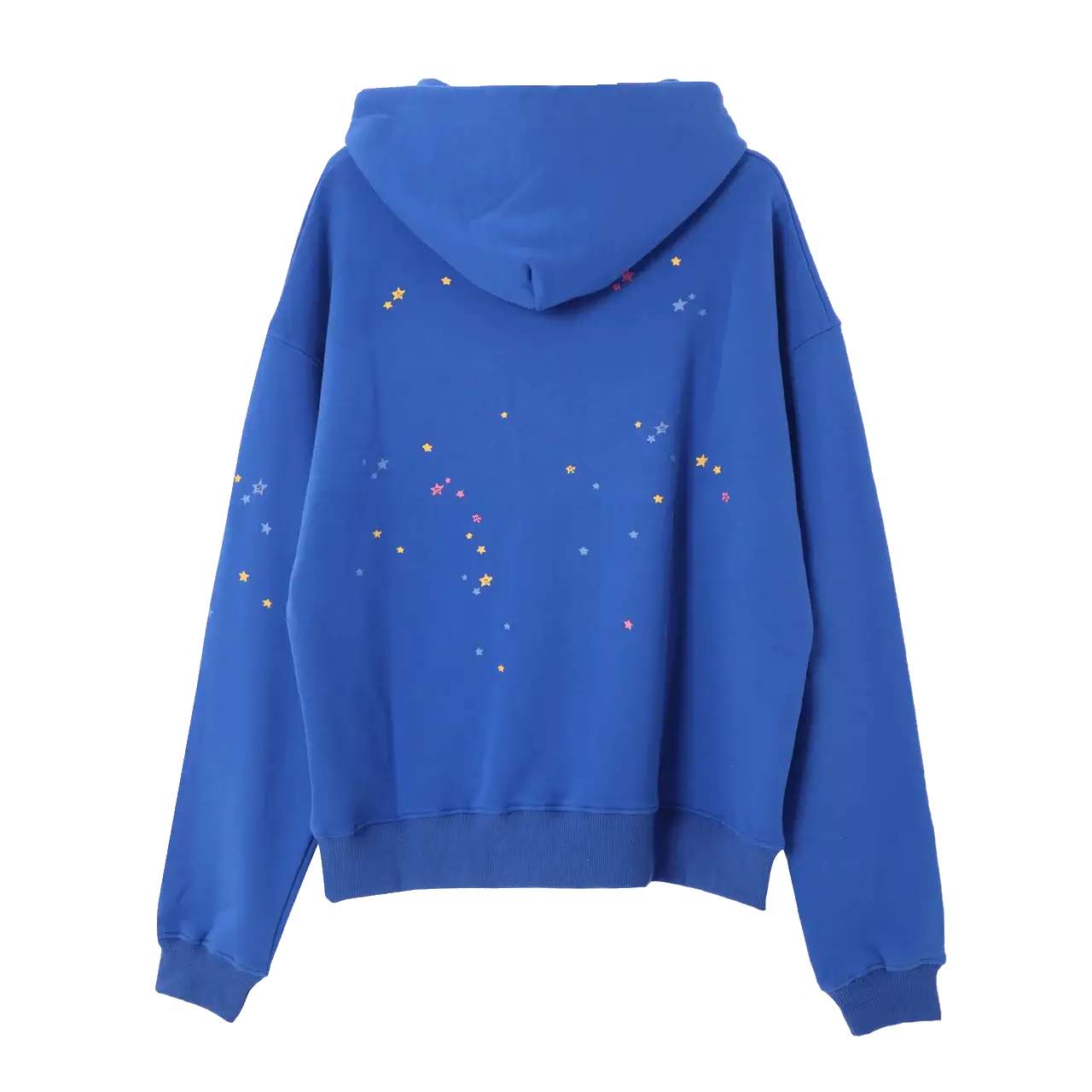 Blue Spider Hoodie back